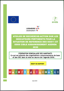 Rapport atelier de recherche-action sur les indicateurs pertinents pour la situation de reference des ODD11 et ODD6 cible assainissement agenda 2030